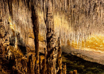 ¡Una joya natural! Descubren cueva virgen con estalactitas en Agua Prieta, Sonora