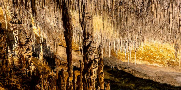 ¡Una joya natural! Descubren cueva virgen con estalactitas en Agua Prieta, Sonora