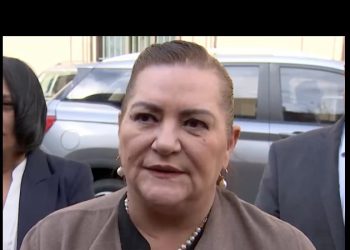 Sheinbaum accedió a dar un ‘recurso adicional’ para la Elección Judicial: Taddei