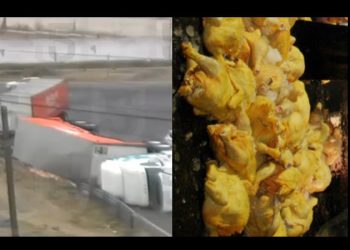 Tráiler de Bachoco vuelca en Ecatepec y se hace presente la rapiña