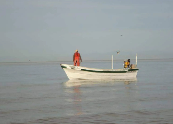 Pesca clandestina, un riesgo para el ecosistema del Golfo