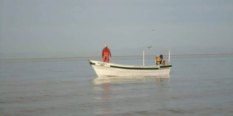 Pesca clandestina, un riesgo para el ecosistema del Golfo