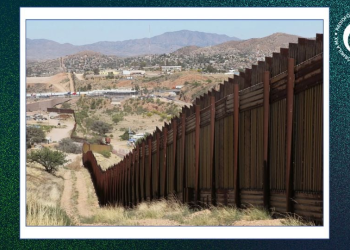 Balazos al aire por Año Nuevo en frontera de Sonora deja múltiples mascotas perdidas