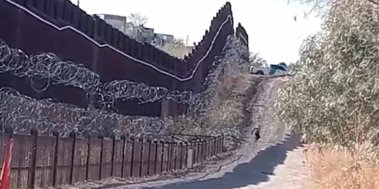 Migrantes saltan muro en Nogales, Arizona; no importan amenazas de Trump