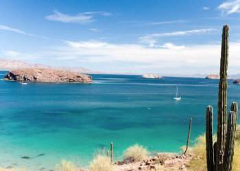 Problemas en el paraíso: el tráfico ilegal de especies en peligro de extinción plaga el “Acuario del Mundo”