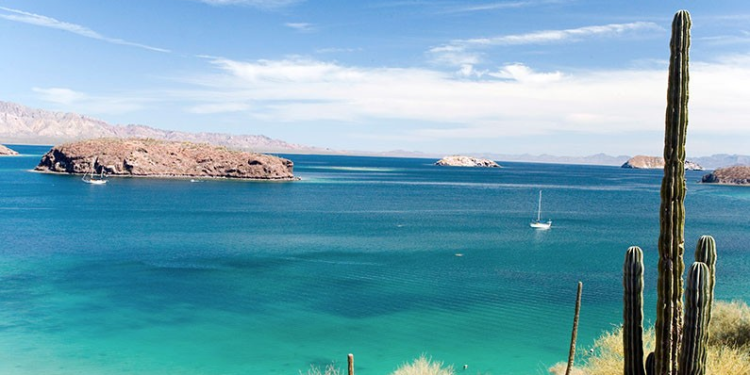 Problemas en el paraíso: el tráfico ilegal de especies en peligro de extinción plaga el “Acuario del Mundo”