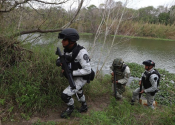 ‘Operación Frontera’ suma 116 detenidos, 35 armas y más de 300 kilos de droga aseguradas