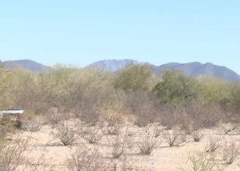 Aumenta un 200% el Registro de Personas Desaparecidas en Sonora