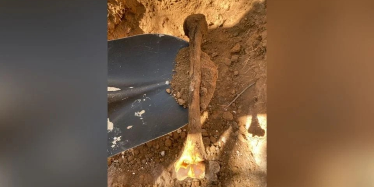 Ceci Flores anuncia el hallazgo de los restos de seis personas en una carretera de Hermosillo