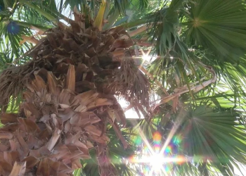 Bajarán Temperaturas por Nuevo Frente Frío este Fin de Semana en Sonora