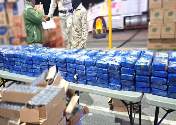 Localizan casi media tonelada de cocaína escondida en tráiler de abarrotes en Sonora