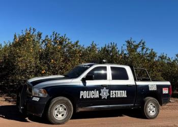 Capturan a ‘Gama 15′, presunto cabecilla de Los Deltas en Sonora