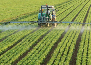 Apuesta Sonora a la reconversión agrícola