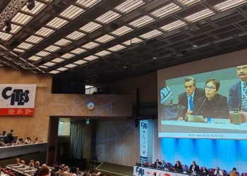 México informa a CITES los avances del Plan de Acción para controlar la pesca de totoaba y proteger a la vaquita marina