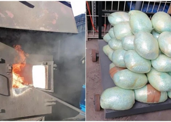 Incineran más de 2 millones de pastillas de fentanilo aseguradas en Baja California y Sonora