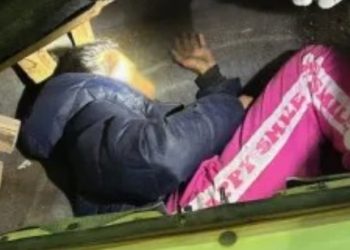 Frenan tráfico de migrantes en frontera de Sonora y detienen a una mexicana de 29 años