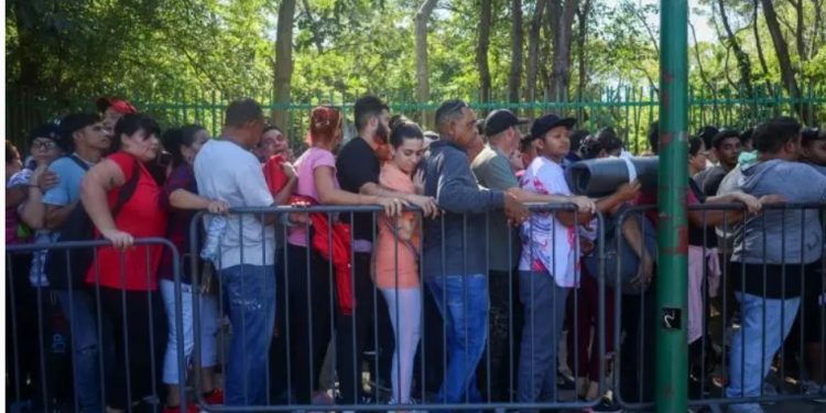 Migrantes ahora son más vulnerables al crimen organizado en el sur de México