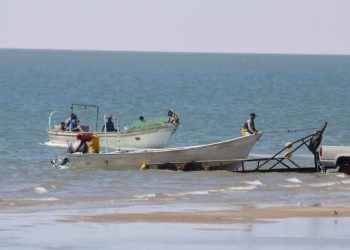 Totoaba impulsó el nacimiento de San Felipe
