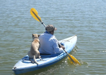 La Ciénega, principal humedal del noroeste de México