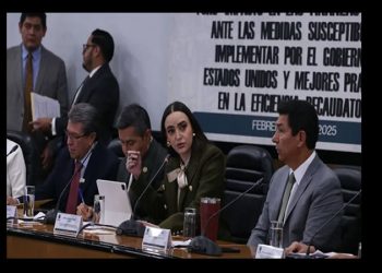 Pese a aranceles, México puede ser líder global en 2025, afirma Altagracia Gómez