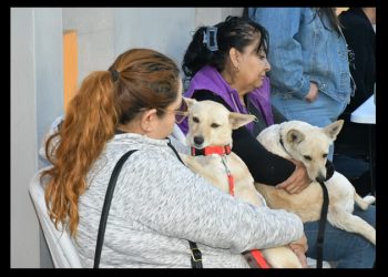 Reitera Gobierno de Hermosillo llamado a estudiantes a participar en el Croquetón 2025