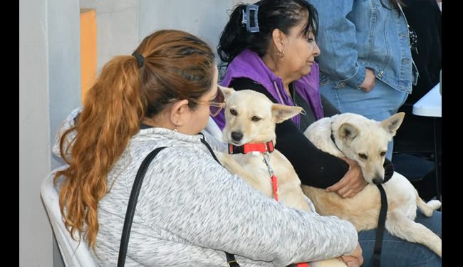 Reitera Gobierno de Hermosillo llamado a estudiantes a participar en el Croquetón 2025