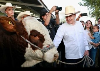 Se reactiva exportación de ganado sonorense con cruce de más de 3 mil cabezas a Estados Unidos