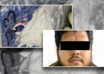 En Sonora, decomisan 377 kilos de cocaína a bordo de tractocamión con destino a Tijuana