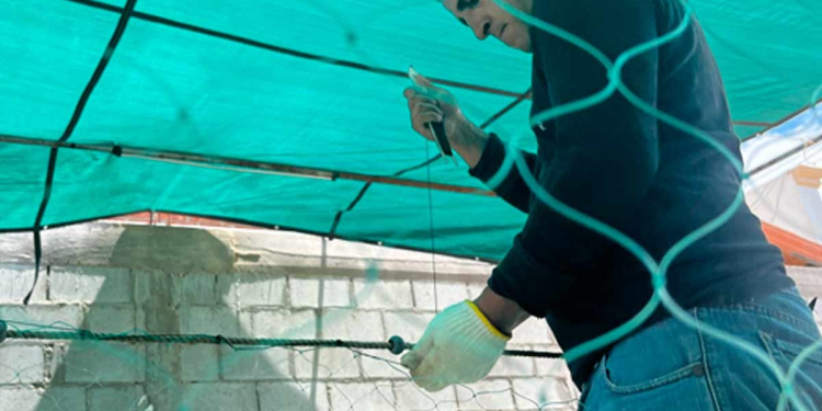 Piden pescadores a CITES construir acuerdos reales para vaquita marina