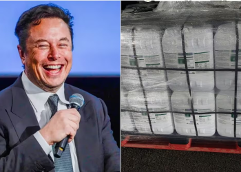 Elon Musk reacciona a decomiso de fentanilo en Sonora; “dudo que cárteles sean derrotados sin EU”