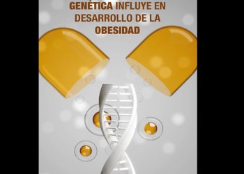 Genética influye en el desarrollo de la obesidad