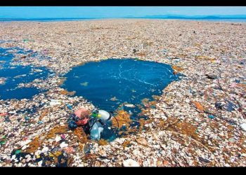 Sin Plástico, Greenpeace México actualiza tiendas y comercios libres de plástico