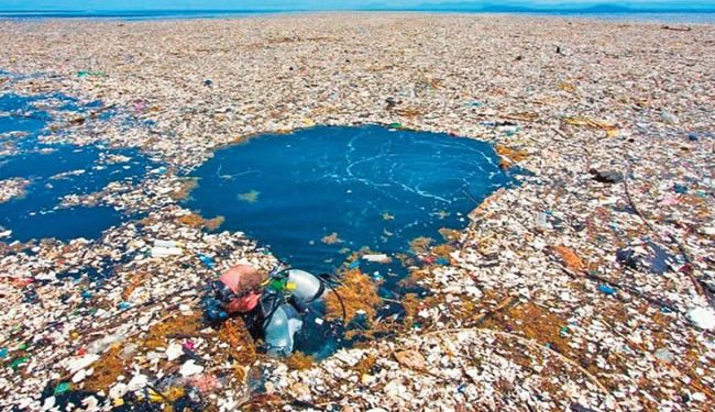 Sin Plástico, Greenpeace México actualiza tiendas y comercios libres de plástico