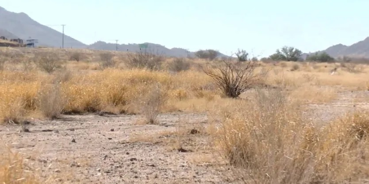 Declaran Semáforo Amarillo por Sequía Extrema y Escasez de Agua en Hermosillo