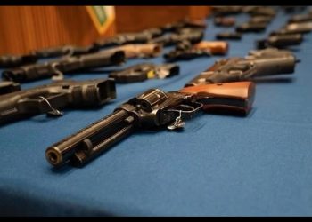 Se conocerá en junio fallo sobre inmunidad de armerías de EU: SRE