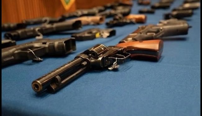 Se conocerá en junio fallo sobre inmunidad de armerías de EU: SRE