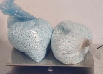 Revisan caseta de cobro en Sonora y aseguran más de 350 millones de pesos en droga sintética