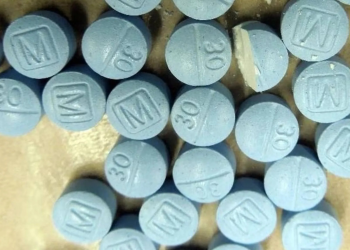 Fuerzas federales aseguran 50 mil pastillas de fentanilo en Sonora