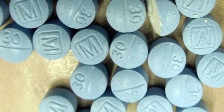 Fuerzas federales aseguran 50 mil pastillas de fentanilo en Sonora