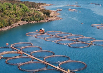 Santomar lidera la acuacultura regenerativa