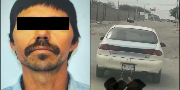 Vinculan a proceso a hombre que arrastró con su auto y mató a los cachorros en Sonora; les habría suministrado sustancias toxicas