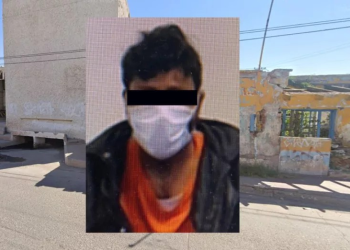 Le cayó la justicia: sujeto golpeó hasta la muerte a un gato y un cachorro en Guaymas