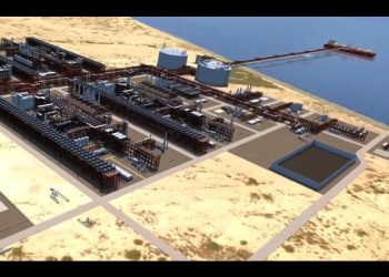 Tribunal frena la construcción de mega planta de licuefacción