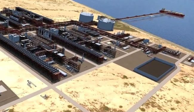 Tribunal frena la construcción de mega planta de licuefacción