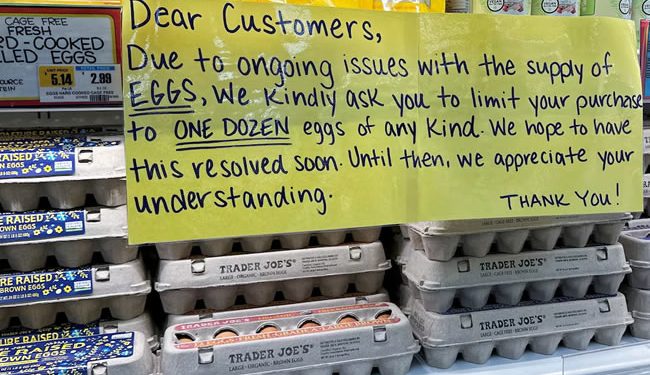 El precio de los huevos subirá un 41% este año en Estados Unidos, según las previsiones oficiales