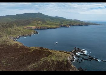 La mayor área marina protegida norteamericana: un oasis biodiverso que favorece la pesca de atún