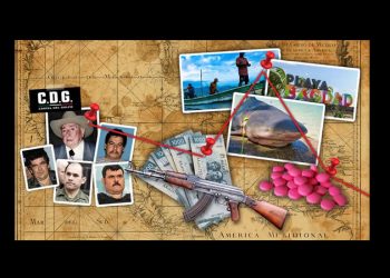 ‘Narcopiratas’ le disputan a Donald Trump el Golfo de México