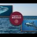 México presenta al CITES avances en la protección de la totoaba y la vaquita marina