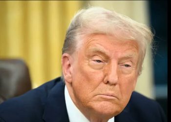 Casa Blanca asegura que los cárteles de la droga “tienen alianza con el gobierno de México”