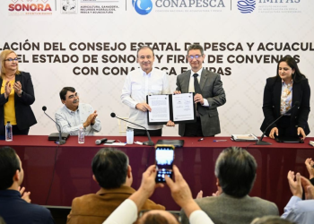 Durazo impulsa crecimiento del sector pesquero con instalación del Consejo Estatal de Pesca y Acuacultura